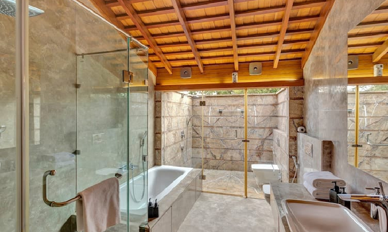 Luxury Washroom